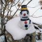 Preview: Schneemann - frostfest -