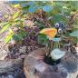 Preview: Rabe - Pfostenhocker - Gartendekoration - frostfest