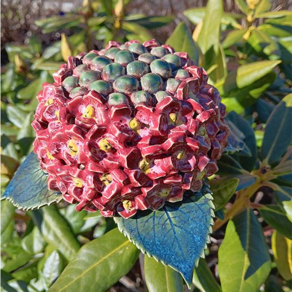 Hortensienblüte - Gartendekoration - frostfest